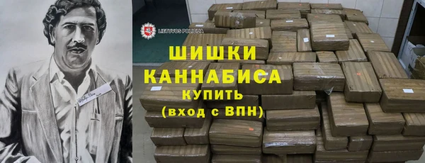 прущие грибы Горно-Алтайск