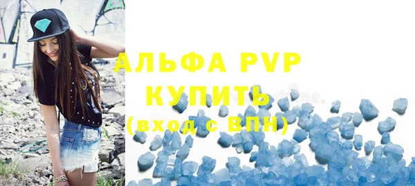 прущие грибы Горно-Алтайск