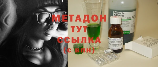 прущие грибы Горно-Алтайск