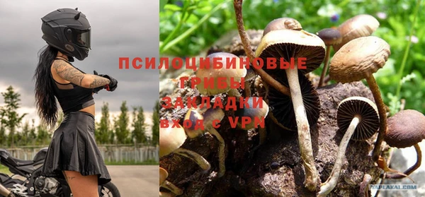 дживик Вязники