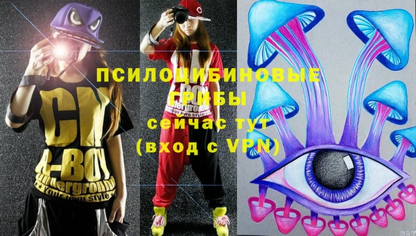 прущие грибы Горно-Алтайск