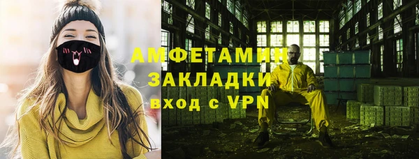 прущие грибы Горно-Алтайск