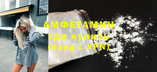 прущие грибы Горно-Алтайск