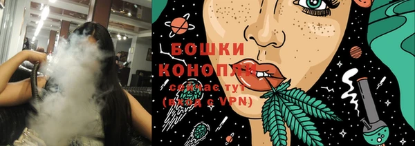 круглые Вяземский